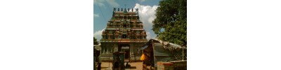 திருபாம்புரம் 